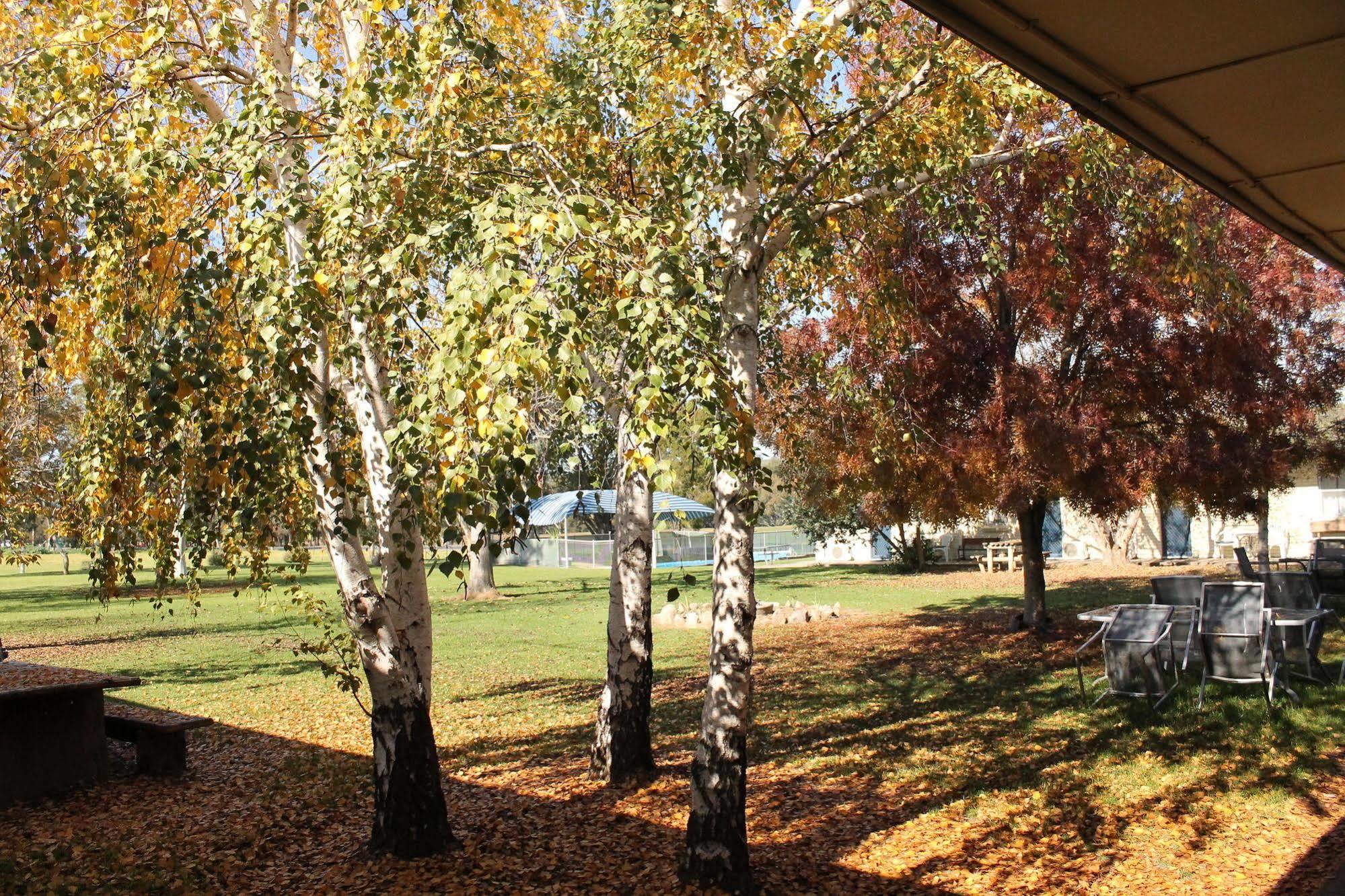 Jugiong Motor Inn Экстерьер фото